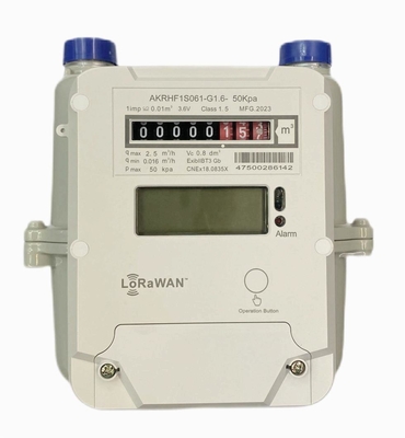 STS AMR Prepagado LORAWAN Contador de gas